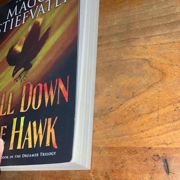 Call Down the Hawk: Book one of the Dreamer Trilogy by Maggie Stiefvater - Picture 8 of 9